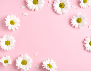 White Chamomile and Daisy Flowers on Pale Pink Background in a Soft Minimal Floral Composition