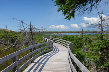 Wooden walkway on the lake in prince edward island Canada.