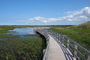 Wooden walkway on the lake in prince edward island Canada.