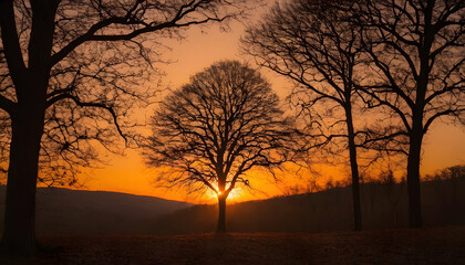 Set of tall pine trees isolated on a white background.
