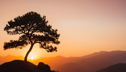 Set of tall pine trees isolated on a white background.
