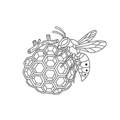Obraz premium Wasp nest coloring page for kids and adults, insect drawing, vector illustration, outline on transparent background