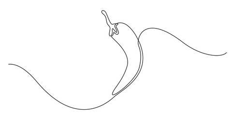 one continuous line chili.one line chili drawing.line art vector illustration
