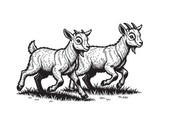 Obraz premium Charming vector of two young goats running playfully in grass. Engraved in black and white, perfect for cute farm or children’s designs.