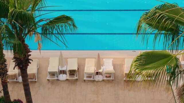 Top view of outdoor swimming pool with empty beach lounge chair sunbed between green palms in resort hotel. Tropical greenery holiday vacation travel tourist tranquility calmness on sunny day
