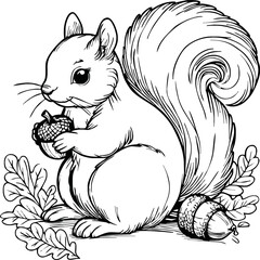 Coloring book Squirrel holding an acorn on white background printable outline vector illustration