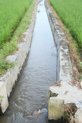 Obraz premium Irrigation or water flow or water canals built along rice field areas which function to supply the water needed for agricultural land
