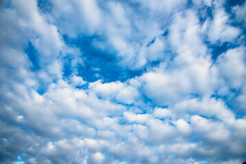 Fototapeta premium Blue sky fluffy white clouds on summer season bright clear skyline with beautiful cloudscape. Panorama blue sky clouds pattern on daylight with copy space. Cumulus cloudscape air climate sunny day