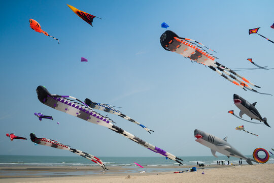 Flying kite festival with Octopus, jellyfish, shark fish and shaped animal. Various colorful kites flying in the blue sky on the public beach. Free public event featuring local of Thailand.