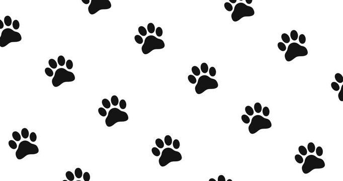 Video of dog or cat paw prints moving in an interlaced fashion on a white background