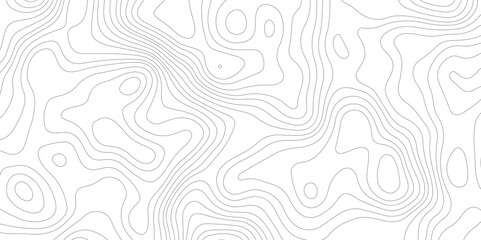Fototapeta premium white background displays topographic contour lines, creating abstract pattern suitable for various design applications