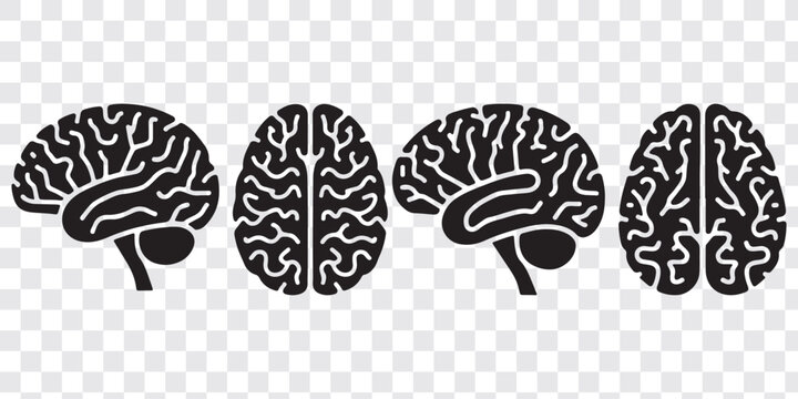 set of brains silhouette vector on transparent background