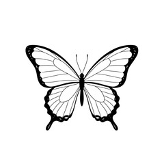 Butterfly art. Black sketches. Vector hand drawn illustration, butterfly silhoette simple Outline 