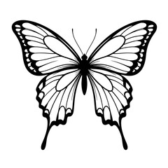Butterfly art. Black sketches. Vector hand drawn illustration, butterfly silhoette simple Outline 