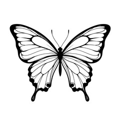 Butterfly art. Black sketches. Vector hand drawn illustration, butterfly silhoette simple Outline 
