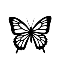 Butterfly art. Black sketches. Vector hand drawn illustration, butterfly silhoette simple Outline 