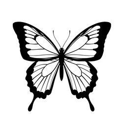 Butterfly art. Black sketches. Vector hand drawn illustration, butterfly silhoette simple Outline 