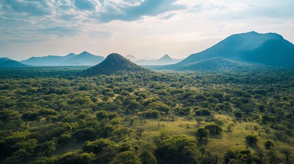 Aerial view of a vast savanna landscape with rolling hills and lush vegetation