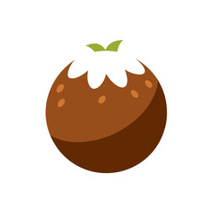 Fototapeta premium coconut covered chocolate on white background