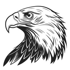 Striking bald eagle portrait displays its majestic gaze and strong beak in monotone linework