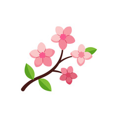 cherry blossom on white background  .svg