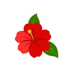 hibiscus on white background  .svg