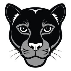 A fierce black panther with gray accents and white whiskers stares intently forward