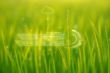 AI generated image of a rice field during growth stage overlaid with digital HUD icons showing cloud water humidity wifi and temperature data representing smart agriculture real time plant analytics