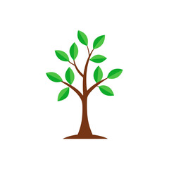tree sapling on white background  .svg