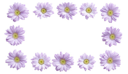 Fototapeta premium Lavender Daisy Flower Frame