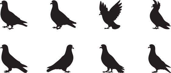 Silhouette of a pigeon eating birdseed.
