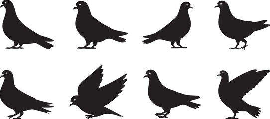 Silhouette of a pigeon eating birdseed.