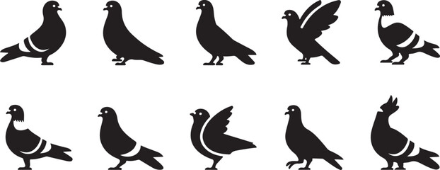 Silhouette of a pigeon eating birdseed.