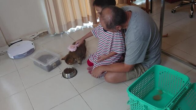 Father and son play and take care of a cat together.