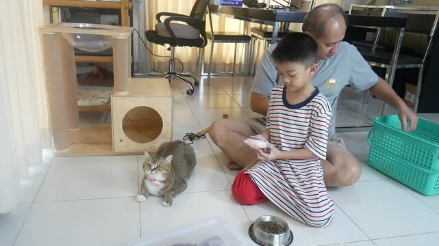 Father and son play and take care of a cat together.