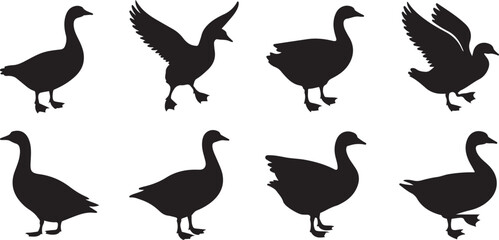 Canadian Geese Silhouettes