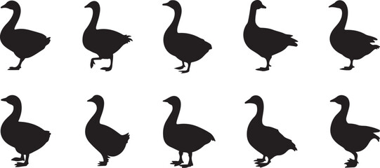 Canadian Geese Silhouettes