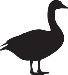 Canadian Geese Silhouettes