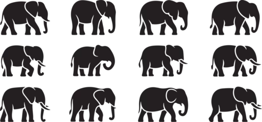  Silhouette of animals in the savannah. African landscape scene. Vector horizontal seamless tropical background with elephants, giraffes and lion. Black isolated silhouette © MdSojib