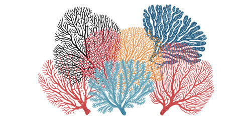 Colorful Sea Fan Coral Reef Illustration Design