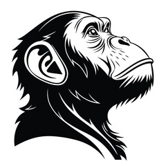Black and white monkey illustration gazes upward in a representation of primate curiosity