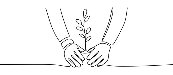 Two Hands Gently Planting a Delicate Sprout