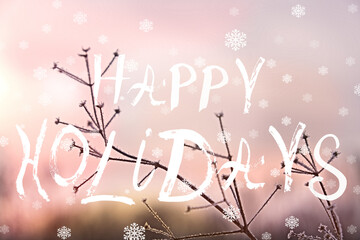 Happy Holidays saying, handwritten text. Close-up of dry winter plant, flowers on soft pape pipnk...