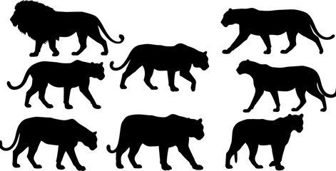 Obraz premium Lion and panther silhouettes vector graphics for wildlife design and animal illustration projects use 100 editable stock vector illustration