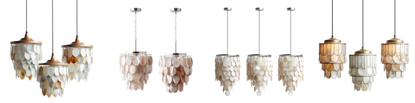 Elegant modern chandelier with shell inspired lighting fixtures
