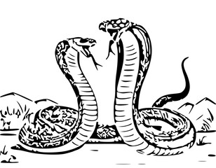 snake vector illustration