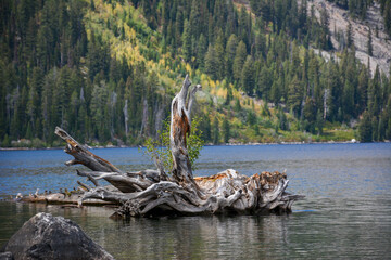 A serene river flows gently with majestic mountains in the background, while a rustic woodlock...