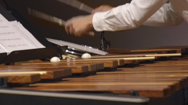 Musician hands close up percussionist playing marimba xylophone concert drum 