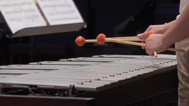 Musician hands close up percussionist playing vibraphone marimba concert