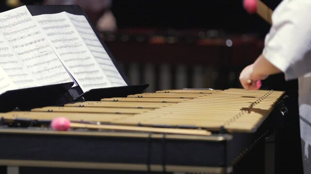 Musician hands close up percussionist playing vibraphone marimba concert duet